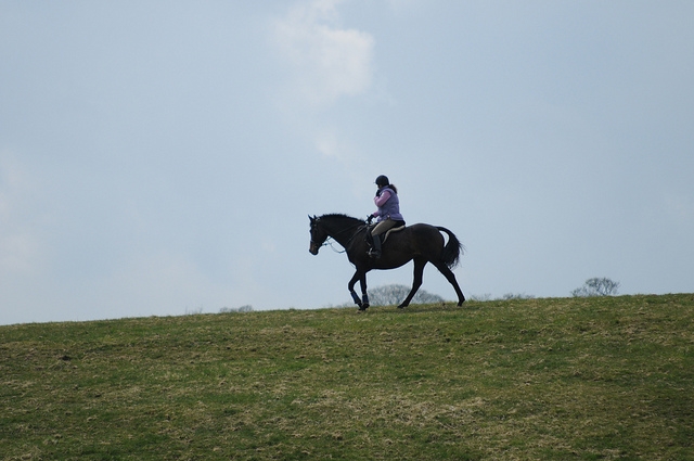 en el caballo